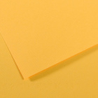 Бумага д/пастели Canson Mi-Teintes А4 160 гр. №400 жёлтый канареечный

