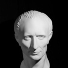 Голова Цезаря, гипс(арт.10-104) 20*20*50см.
