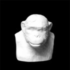 Бюст Шимпанзе , 14х13х15 см гипс (арт.20-252)