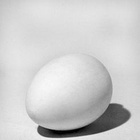 Яйцо, гипс  20см. (30-305)		

