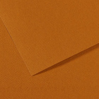 Бумага д/пастели Canson Mi-Teintes А4 160 гр. №502 коричневый Гавана
