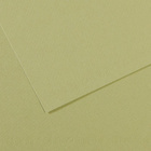 Бумага д/пастели Canson Mi-Teintes 50х65 см 160 гр. №480 зелёный светлый
